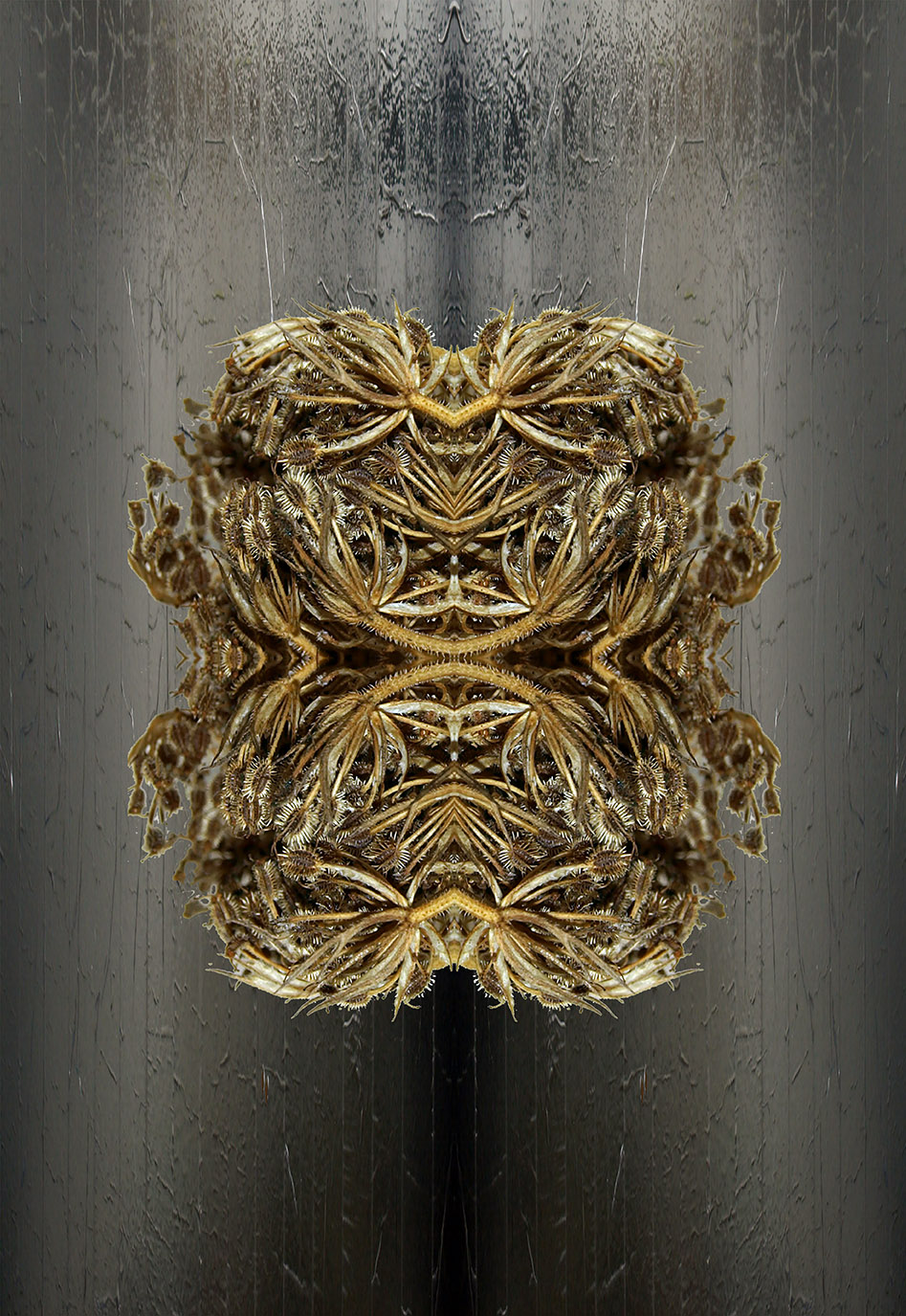 Artworks - Elizabeth de Monchaux