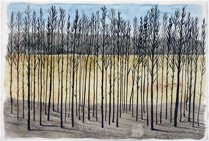 Bushfire by Neil irons