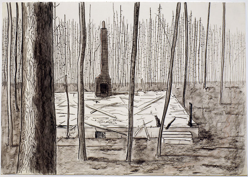 Bushfire by Neil irons