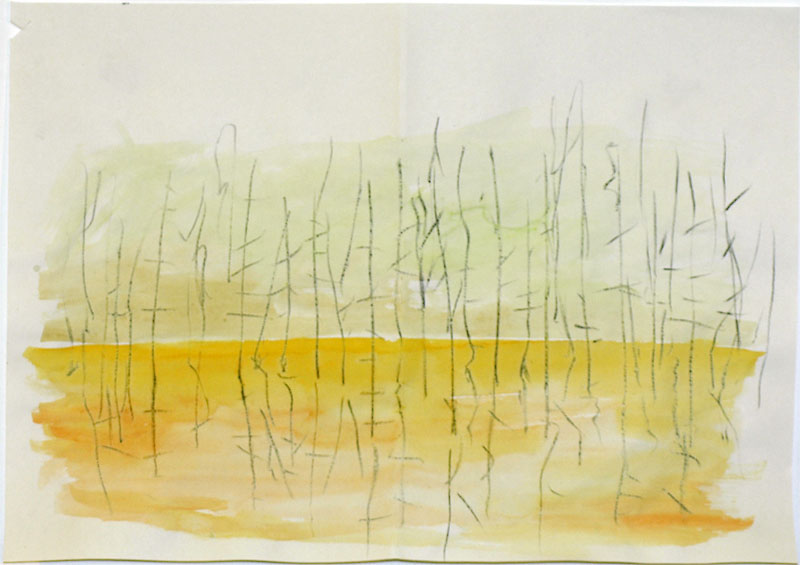 Bushfire by Neil irons