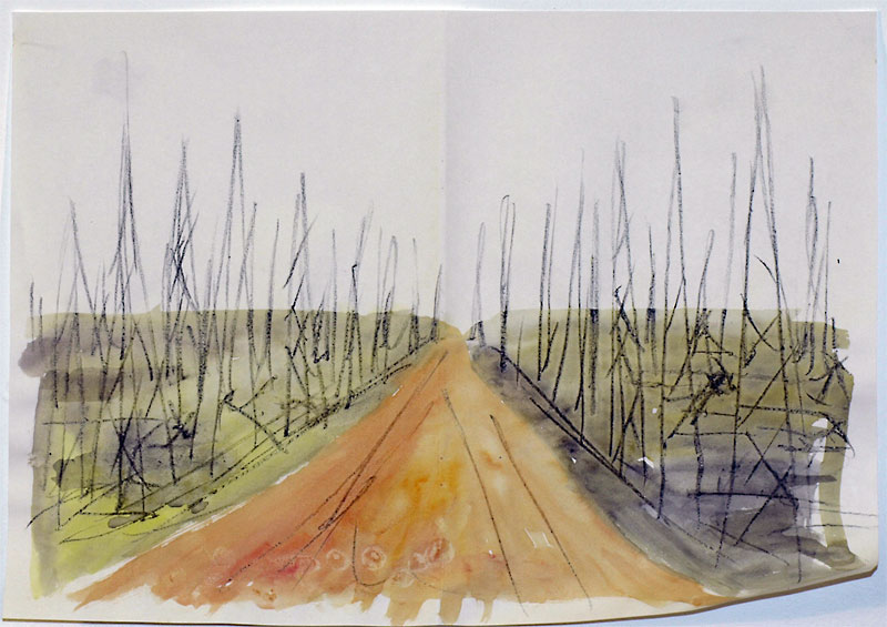 Bushfire by Neil irons