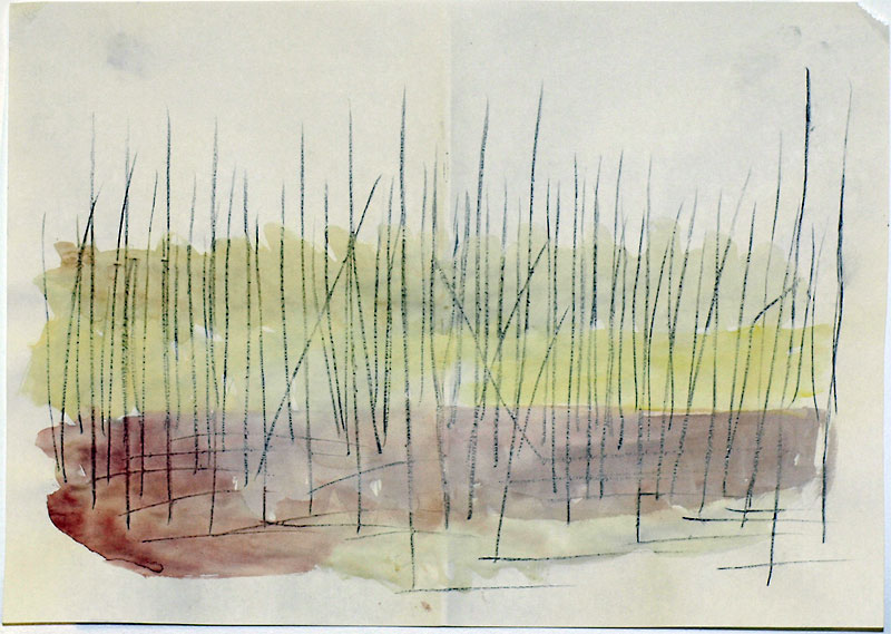 Bushfire by Neil irons