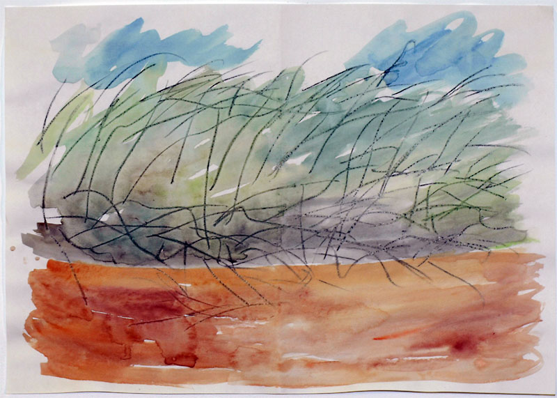 Bush tales - red road by Neil irons