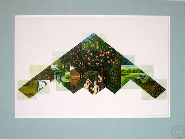 Stealth Garden 3 _ Neil Irons