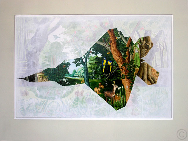 Stealth Garden - Raptor_ Neil Irons