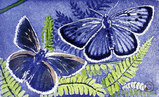 Large and common blues- Ruth de Monchaux 2013