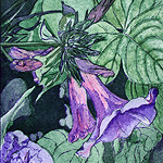 Morning Glory - Ryth de Monchaux 2012