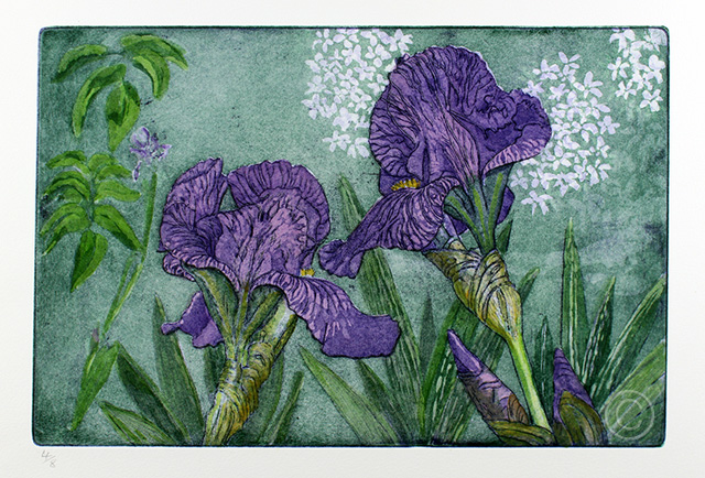 Two Iris - Ruth de Monchaux 2012