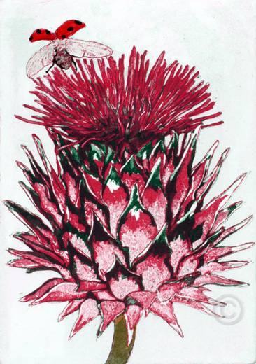 Artichoke - Ruth de Monchaux 2013